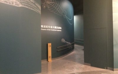 Innovative New Theater at Shanghai Natural History Museum